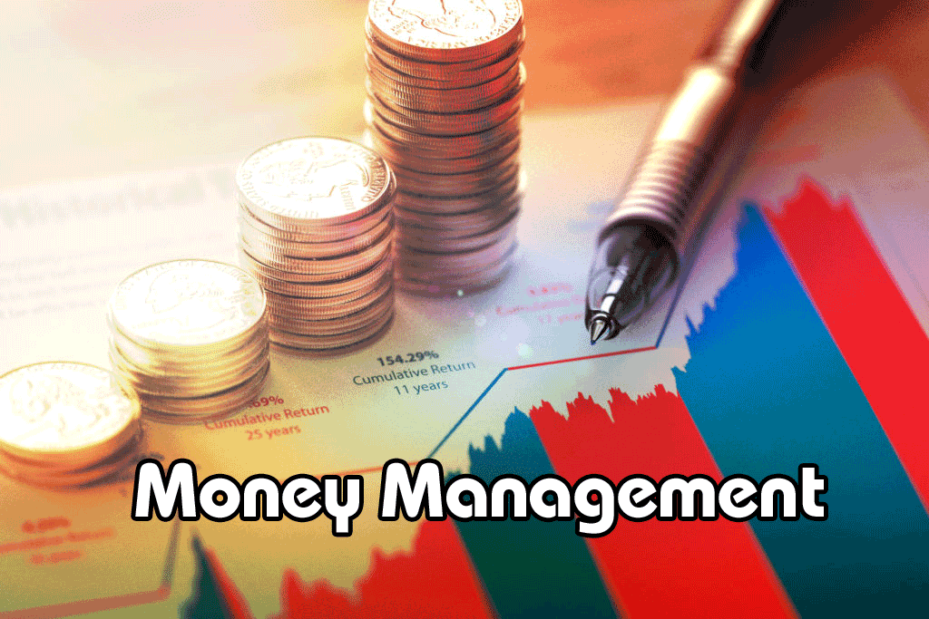 money management with a net bank app